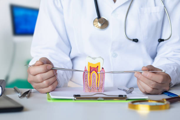 Reliable DC Emergency Dentist Solutions
